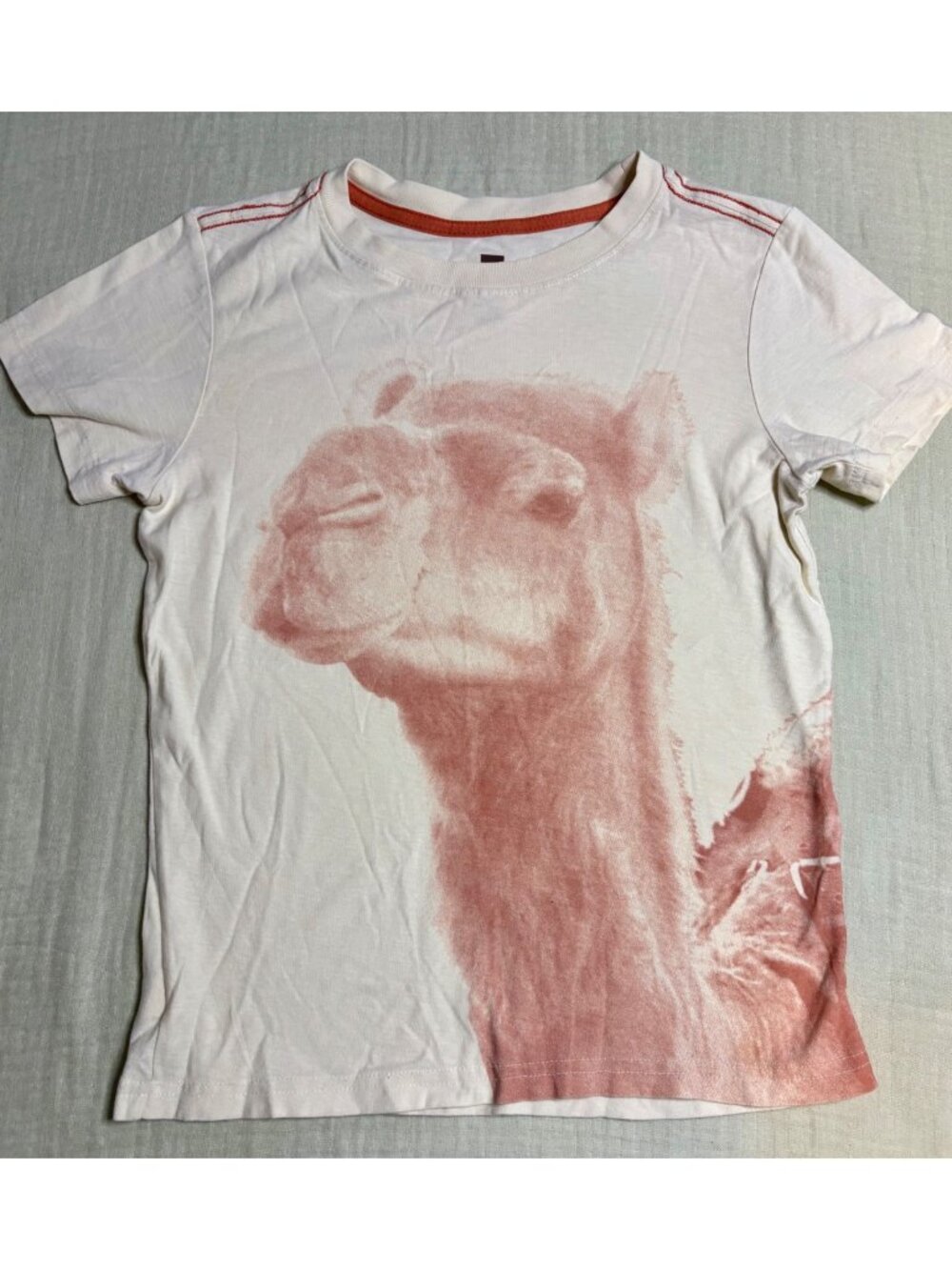 Camel Graphic Kids Tee By Tea Collection Size 8 100% Cotton Cream With Rust Prin